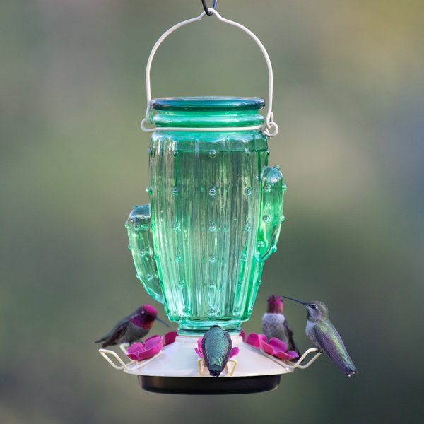 Perky-Pet Cactus Top-Fill Glass Hummingbird Feeder