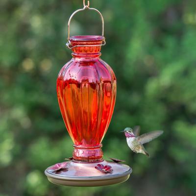 Show full view: Perky-Pet Daisy Vase Vintage Glass Hummingbird Feeder, Red slide 4 of 11