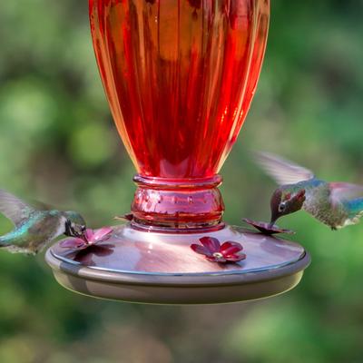 Show full view: Perky-Pet Daisy Vase Vintage Glass Hummingbird Feeder, Red slide 5 of 11