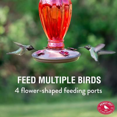 Show full view: Perky-Pet Daisy Vase Vintage Glass Hummingbird Feeder, Red slide 7 of 11