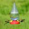 Show in main carousel: Perky-Pet Dew Drop Plastic Hummingbird Feeder, 32-oz slide 3 of 3