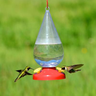 Show full view: Perky-Pet Dew Drop Plastic Hummingbird Feeder, 32-oz slide 3 of 3