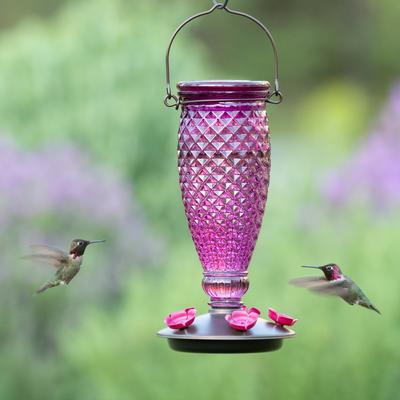 Show full view: Perky-Pet Diamond Wine Top-Fill Glass Hummingbird Feeder slide 3 of 10