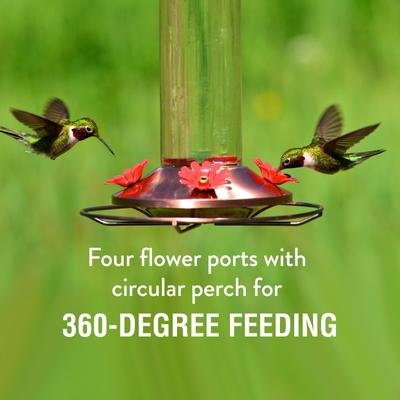 Show full view: Perky-Pet Elegant Copper Glass Hummingbird Feeder slide 3 of 10