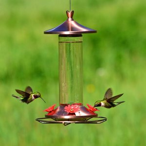 Perky-Pet Elegant Copper Glass Hummingbird Feeder