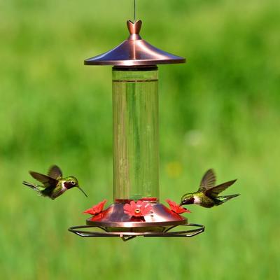 Show full view: Perky-Pet Elegant Copper Glass Hummingbird Feeder slide 9 of 10