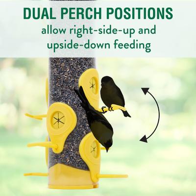Show full view: Perky-Pet Finch Wild Bird Feeder slide 7 of 10