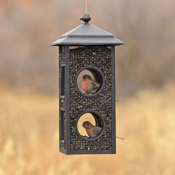 Perky-Pet Fly Thru Bird Feeder, 2-lb