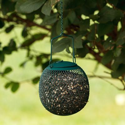 Show full view: Perky-Pet Green Seed Ball Wild Bird Feeder slide 4 of 9