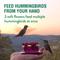 Show in main carousel: Perky-Pet Handheld & Tabletop Hummingbird Feeder slide 4 of 10
