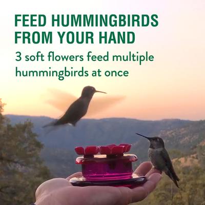 Show full view: Perky-Pet Handheld & Tabletop Hummingbird Feeder slide 4 of 10