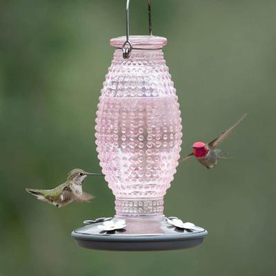 Show full view: Perky-Pet Hobnail Vintage Hummingbird Feeder, Cranberry slide 8 of 11
