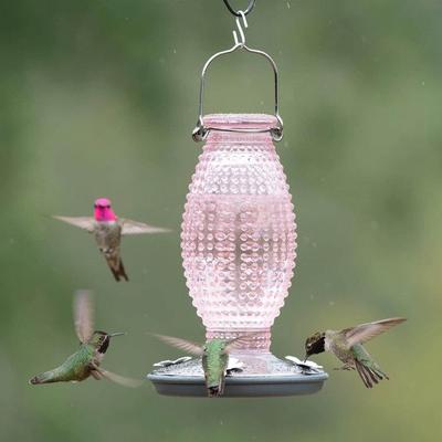 Show full view: Perky-Pet Hobnail Vintage Hummingbird Feeder, Cranberry slide 7 of 11