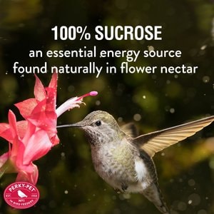 Perky-Pet Instant Nectar Concentrate Clear Hummingbird Food, 8-oz bag