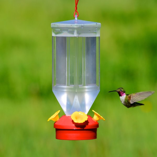 Perky-Pet Lantern Hummingbird Feeder, 18-oz