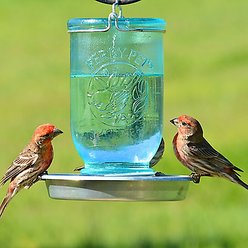 Perky-Pet Mason Jar Wild Bird Waterer, 32-oz slide 2 of 9
