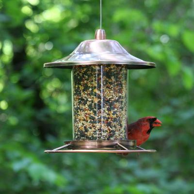 Show full view: Perky-Pet Panorama Bird Feeder, Copper slide 3 of 9