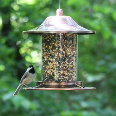 Show full view: Perky-Pet Panorama Bird Feeder, Copper slide 4 of 9