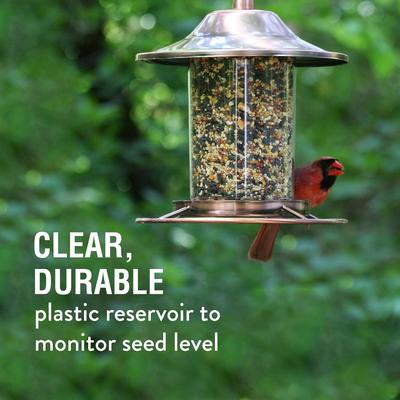Show full view: Perky-Pet Panorama Bird Feeder, Copper slide 7 of 9