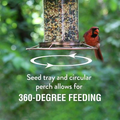 Show full view: Perky-Pet Panorama Bird Feeder, Copper slide 6 of 9
