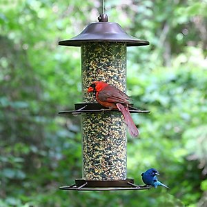 Perky-Pet Panorama Wild Bird Feeder, Brown