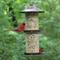Show in main carousel: Perky-Pet Panorama Wild Bird Feeder, Brown slide 3 of 11