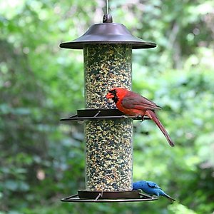 Perky-Pet Panorama Wild Bird Feeder, Brown