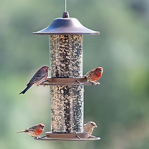 Perky-Pet Panorama Wild Bird Feeder, Brown