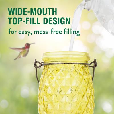 Show full view: Perky-Pet Pineapple Top-Fill Glass Hummingbird Feeder slide 2 of 10