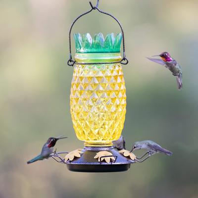 Show full view: Perky-Pet Pineapple Top-Fill Glass Hummingbird Feeder slide 9 of 10