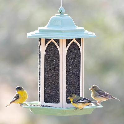 Show full view: Perky-Pet Pistachio Gazebo Bird Feeder, Green, 3.5-lb slide 7 of 10