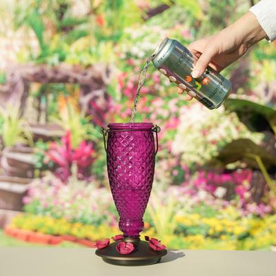 Show full view: Perky-Pet Ready to Use Clear Nectar Hummingbird Food, 16-oz can slide 6 of 10