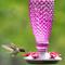 Show in main carousel: Perky-Pet Ready to Use Clear Nectar Hummingbird Food, 16-oz can slide 8 of 10