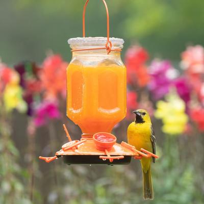 Show full view: Perky-Pet Ready to Use Orange Nectar Oriole Food, 16-oz can slide 8 of 9