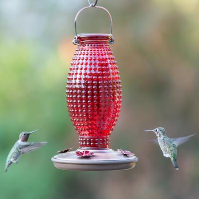 Show full view: Perky-Pet Red Hobnail Vintage Hummingbird Feeder slide 2 of 9