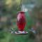 Show in main carousel: Perky-Pet Red Hobnail Vintage Hummingbird Feeder slide 5 of 9