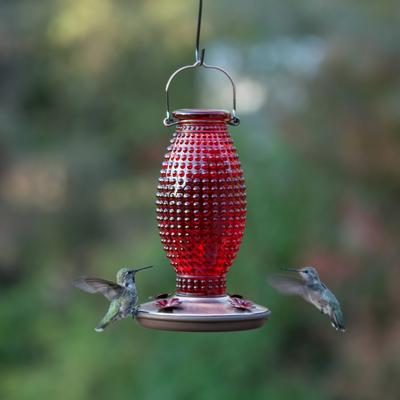 Show full view: Perky-Pet Red Hobnail Vintage Hummingbird Feeder slide 5 of 9
