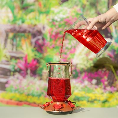 Show full view: Perky-Pet Red Nectar Concentrate Hummingbird Food, 12-oz can slide 8 of 9