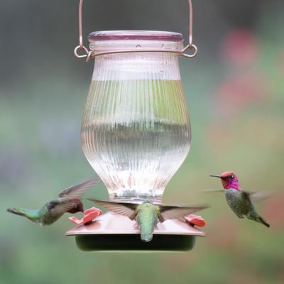Show full view: Perky-Pet Rose Gold Top-Fill Glass Hummingbird Feeder slide 3 of 9