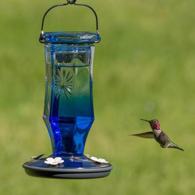 Show full view: Perky-Pet Sapphire Starburst Vintage Hummingbird Feeder slide 4 of 9