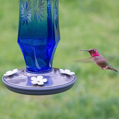 Show full view: Perky-Pet Sapphire Starburst Vintage Hummingbird Feeder slide 7 of 9