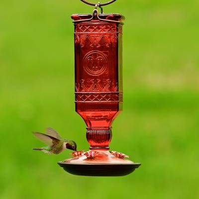 Show full view: Perky-Pet Square Antique Bottle Glass Hummingbird Feeder slide 2 of 4