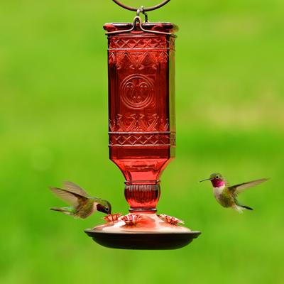 Show full view: Perky-Pet Square Antique Bottle Glass Hummingbird Feeder slide 3 of 4