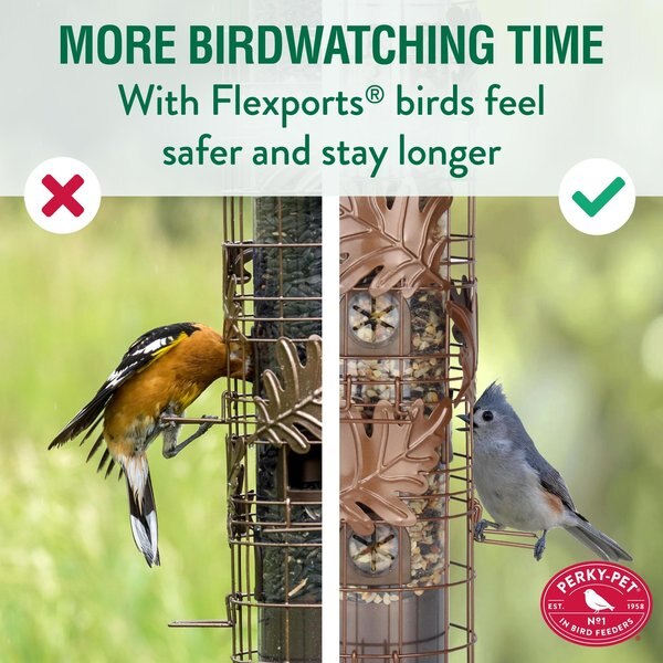 Perky-Pet Squirrel-Be-Gone Max Bird Feeder with Flexports, 1.75-lb