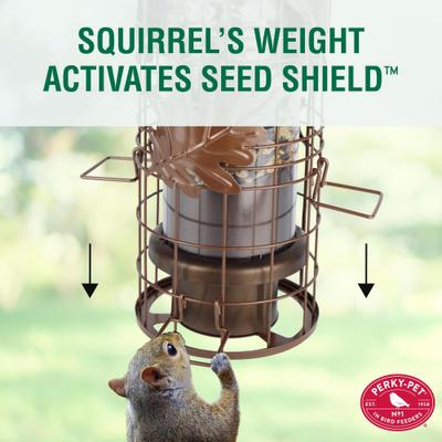 Show full view: Perky-Pet Squirrel-Be-Gone Max Bird Feeder with Flexports, 1.75-lb slide 4 of 8