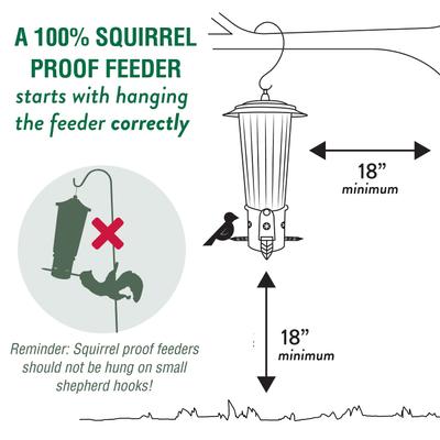 Show full view: Perky-Pet Squirrel-Be-Gone Max Wild Bird Feeder slide 4 of 10