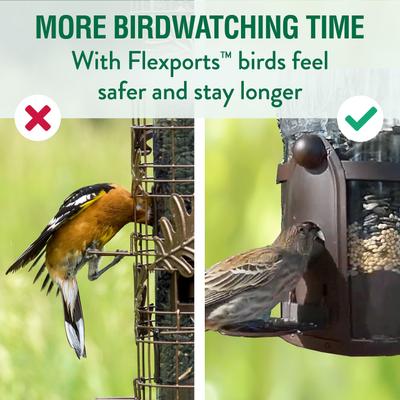 Show full view: Perky-Pet Squirrel-Be-Gone Max Wild Bird Feeder slide 7 of 10