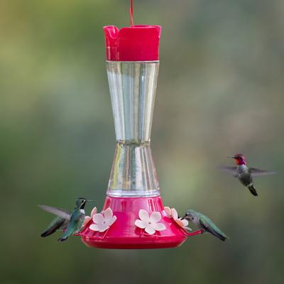 Show full view: Perky-Pet Top-Fill Favored Pinch Waist Glass Hummingbird Feeder, 20-oz slide 2 of 9