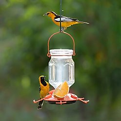Perky-Pet Top-Fill Glass Oriole Wild Bird Feeder slide 2 of 9