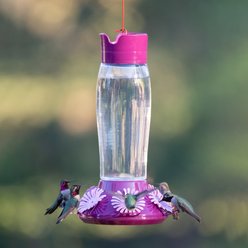 Perky-Pet Top-Fill Hummer’s Favorite Glass Hummingbird Feeder slide 2 of 9